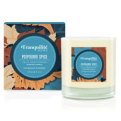 VELA VASO POTPOURRI SPICE 230GR