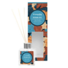 DIFUSOR AROMA POTPOURRI SPICE 100ML