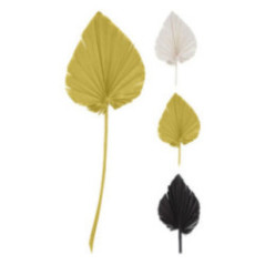 HOJA DE PLAMA ELIPTICA DECORATIVA