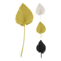 HOJA DE PLAMA ELIPTICA DECORATIVA