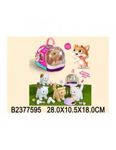 SET GATITO MASCOTA 2377595