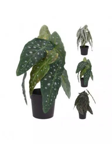 PLANTA ARTIFICIAL CALATHEA