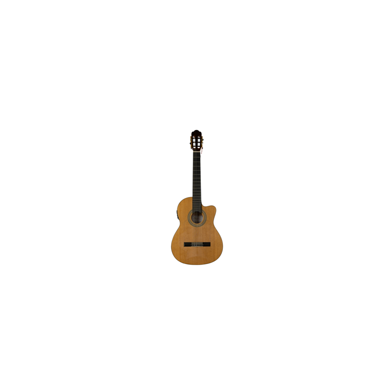 GUITARRA FLAMENCO ELEC-ACUS GLF-250TCEQ