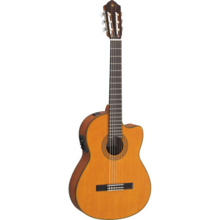 GUITARRA ELECTROCLASICA CGX122 MC CEDRO
