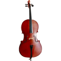 VIOLONCHELO C030 1/2