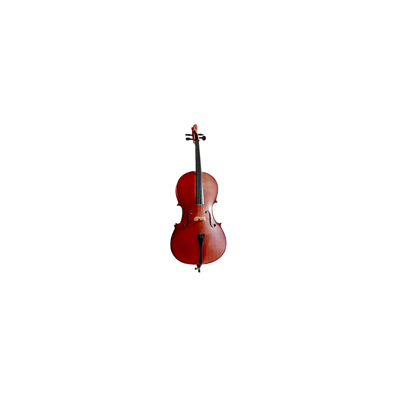 VIOLONCHELO C030 1/2 VIOLONCHELO C030 1/2