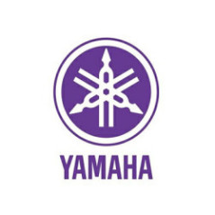 ACEITE PARA ROTOR OIL 40ML