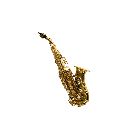 SAXOFON SOPRANINO CURVO SP3041G