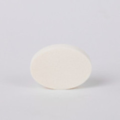 THICK DAILY RADIANCE SPONGE OV