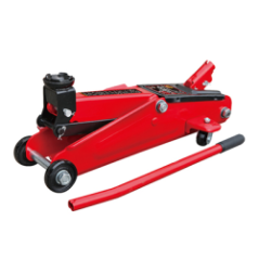 GATO LAGARTO T830013 3T