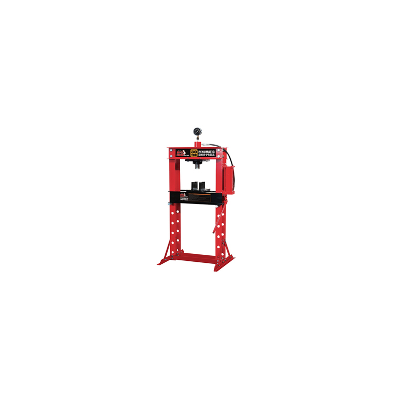 PRENSA NEUMATICA TY30001 30T