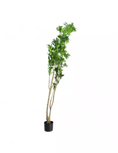 PLANTA ARTIFICIAL H&L C31