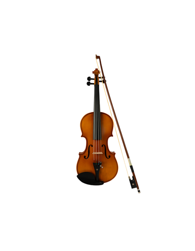 VIOLIN MV888 1/2