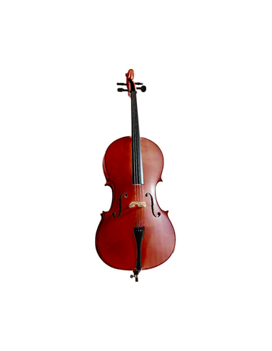 VIOLONCHELO C030 1/2