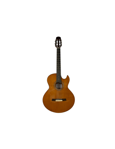 GUITARRA ACUSTICA NYLON LTLC-330