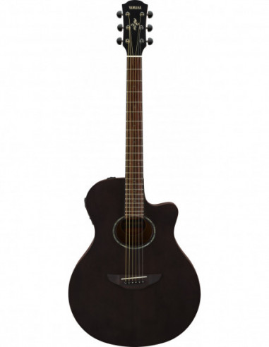GUITARRA ELECTROACUSTICA APX600M SMOKY B