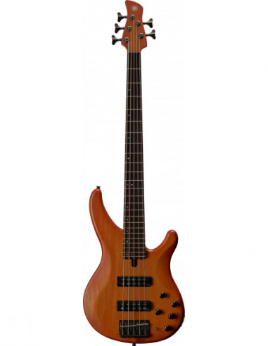 BAJO ELECTRICO TRBX505   BRICK BURST