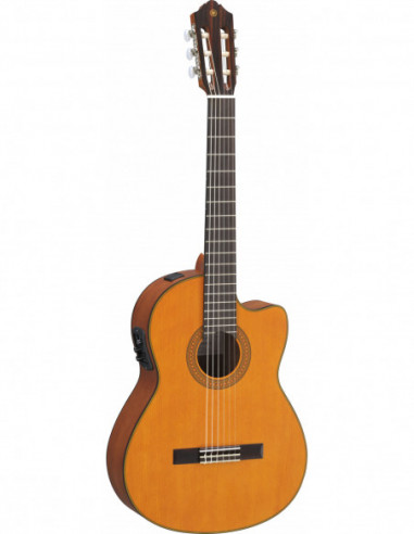 GUITARRA ELECTROCLASICA CGX122 MC CEDRO