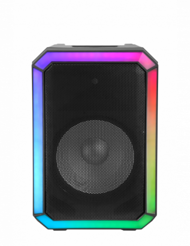 PARLANTE ES-5620 USB.BT.SD.AUX.