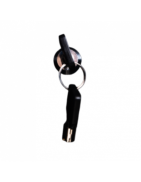 CAJA DE SEGUIRDAD VERTICAL