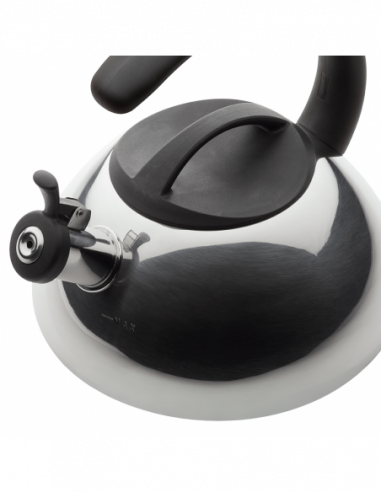 TETERA SILBANTE ACINOX. 2.1L INDUCC FAB