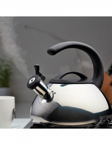 TETERA SILBANTE ACINOX. 2.1L INDUCC FAB