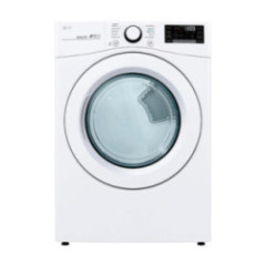 SECADORA  A GAS CARGA FRONTAL 22KG DF22WV2G