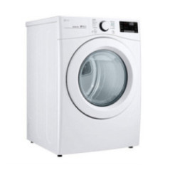 SECADORA  A GAS CARGA FRONTAL 22KG DF22WV2G