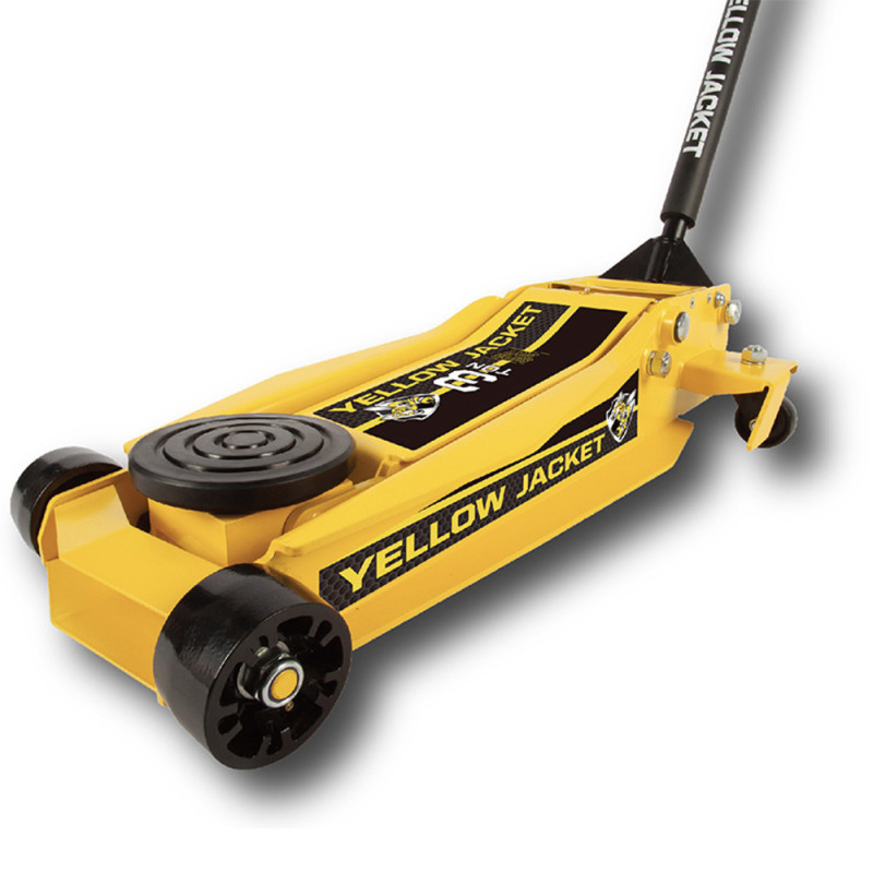 GATA LAGARTO T830008