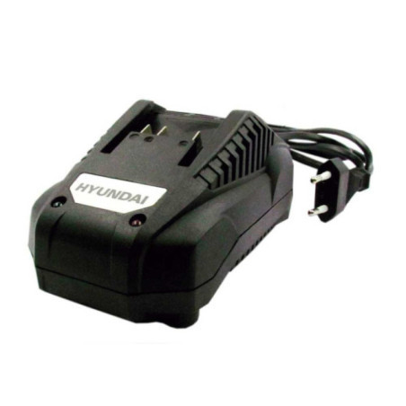 CARGADOR 20V