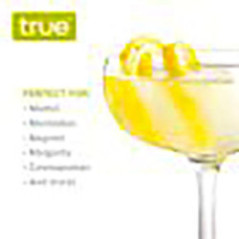 SET DE COPAS COCKTELERAS COUPE