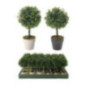 BUXUS ARTIFICIAL REDONDO EN MACETA BLANCA