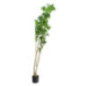 PLANTA ARTIFICIAL  H&L C31