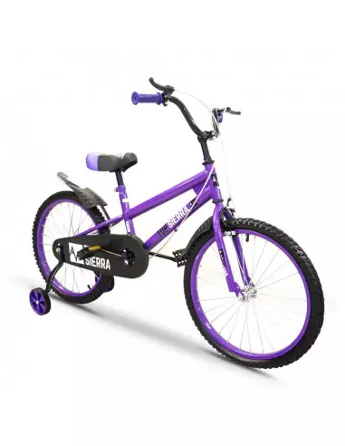 BICICLETA ARO 20" COLOR MORADO