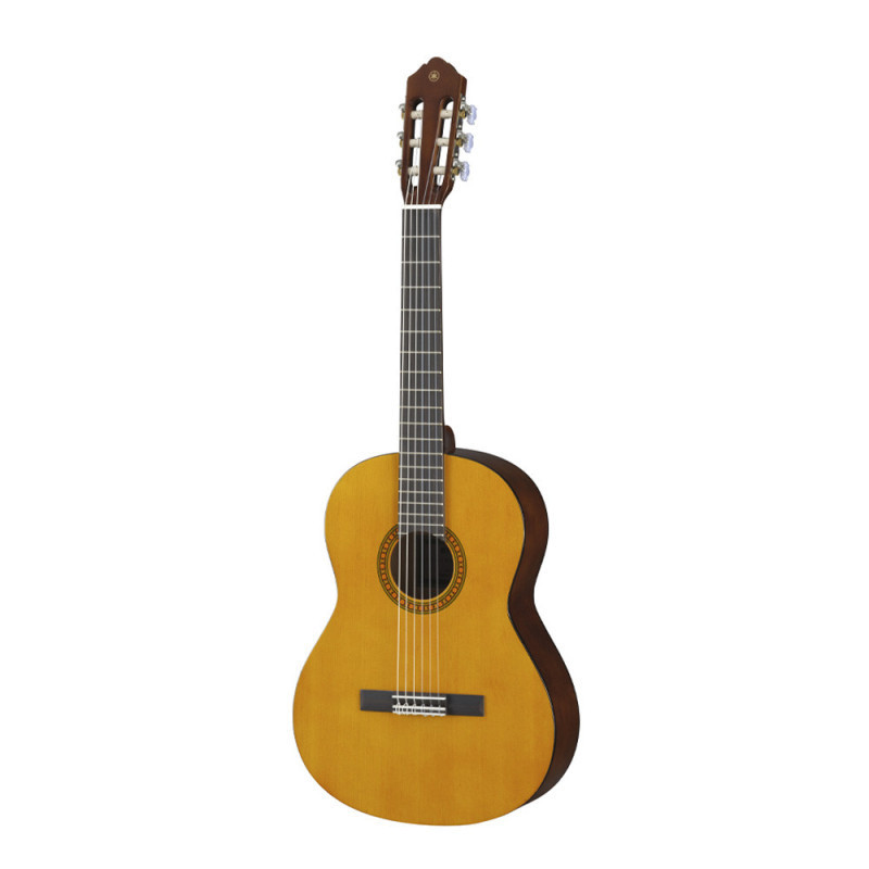 GUITARRA CS-40