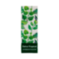 ESSENZA SELVA TROPICAL 10ML