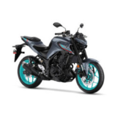 MOTO MTN320 320CC 2024 GRIS